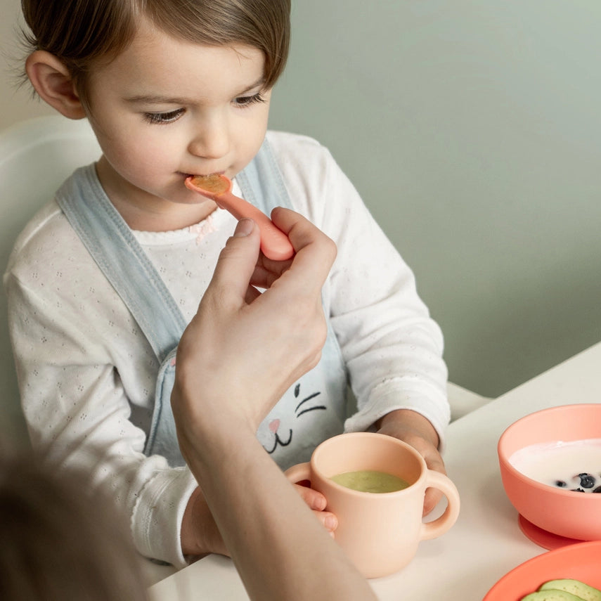 Silicone Baby Meal Set - Coral