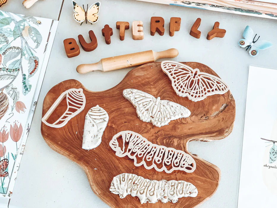 Butterfly Life Cycle Eco Cutter™ Set of 3