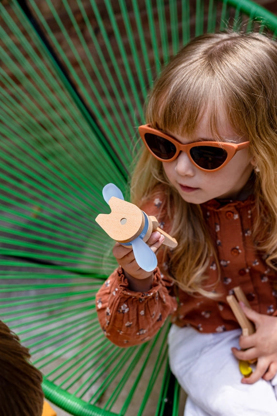 Imaginary Fauna - Desert