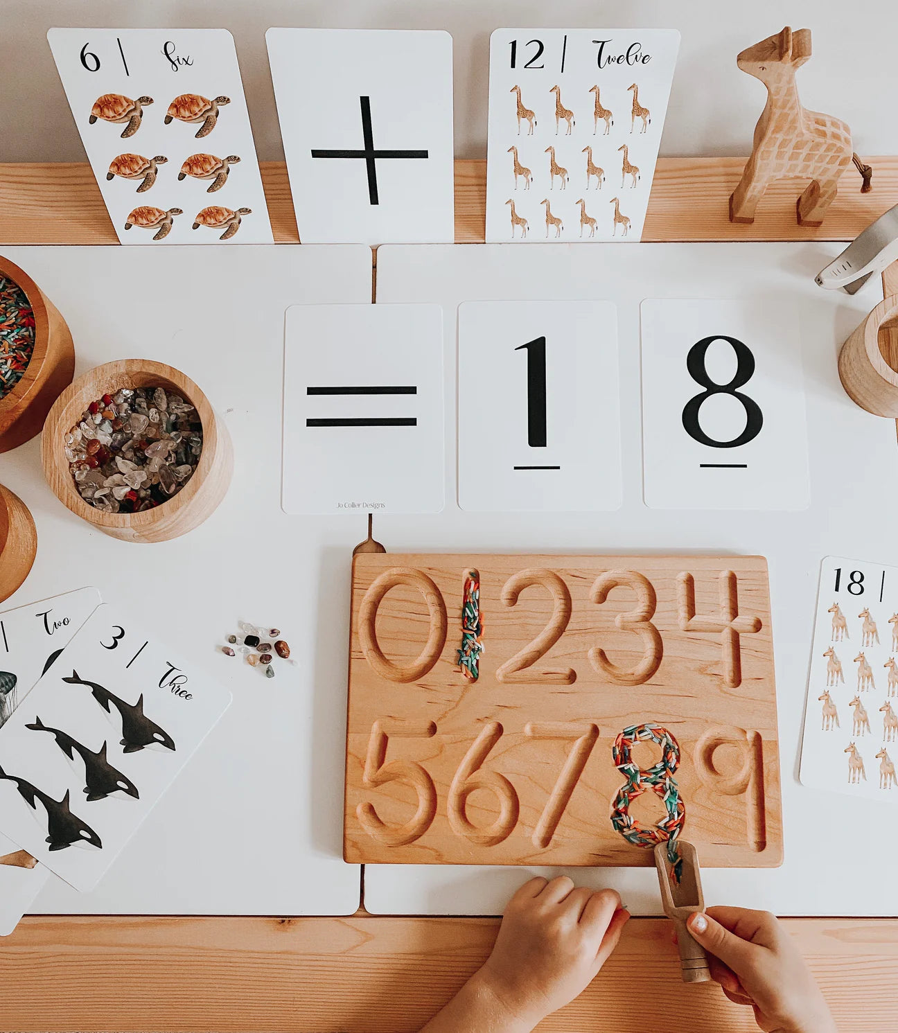 "Nature's 123" Flashcards