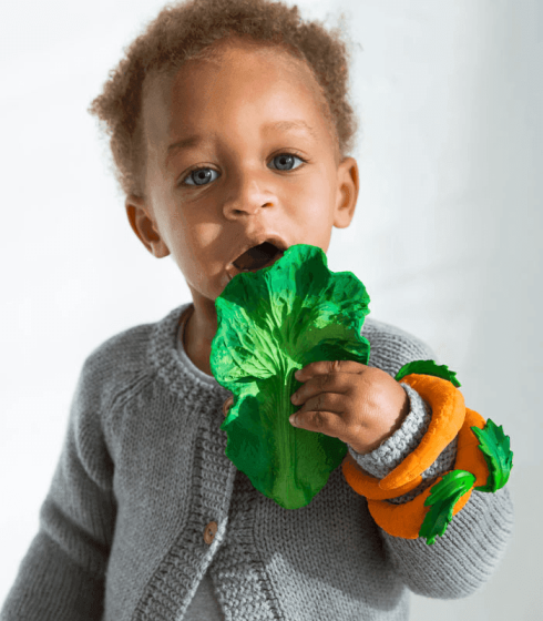 Kendall the Kale Teether