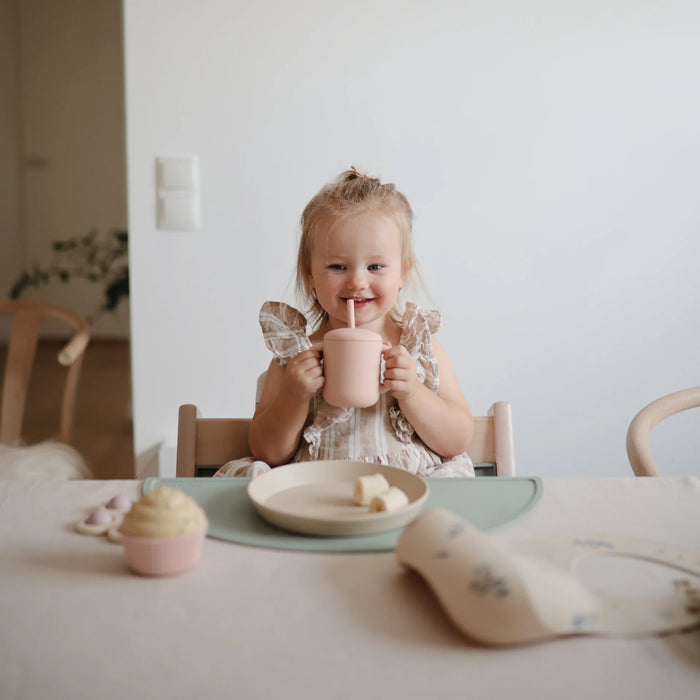 Round Dinnerware Plates Set of 2