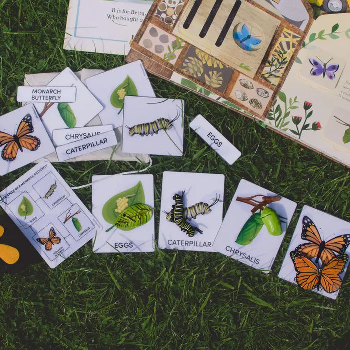 Life cycle of a monarch butterfly - Cards and Figurines