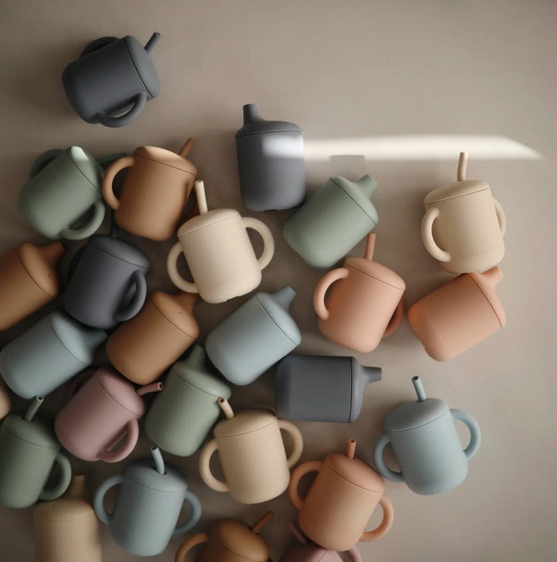 Silicone Sippy Cup