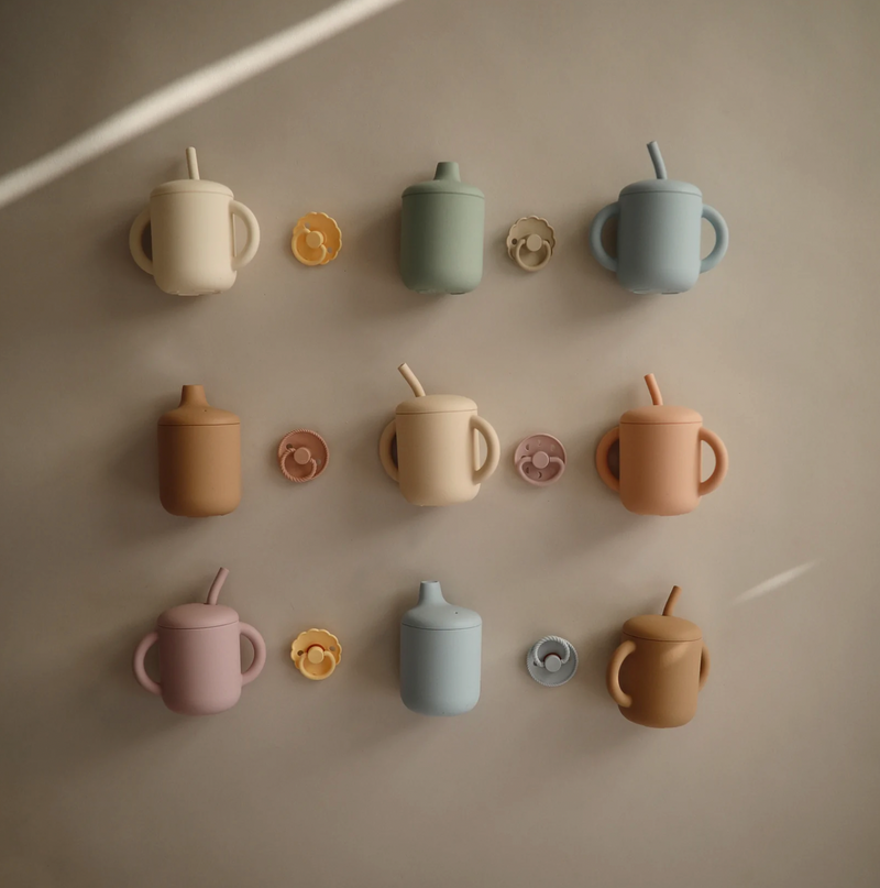 Silicone Sippy Cup